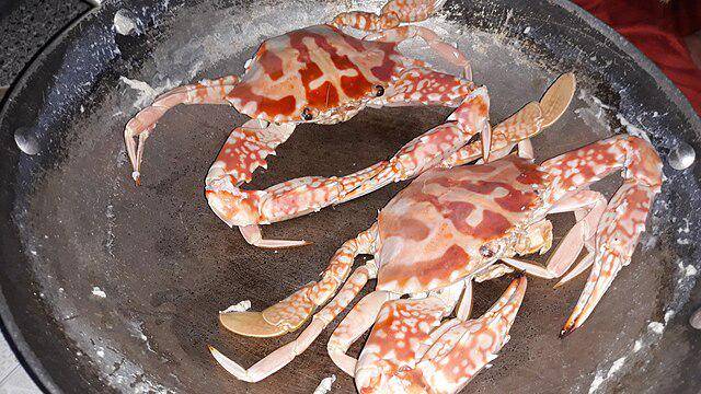 ilustrasi rebus kepiting (commons.wikimedia.org/Baoothersks)