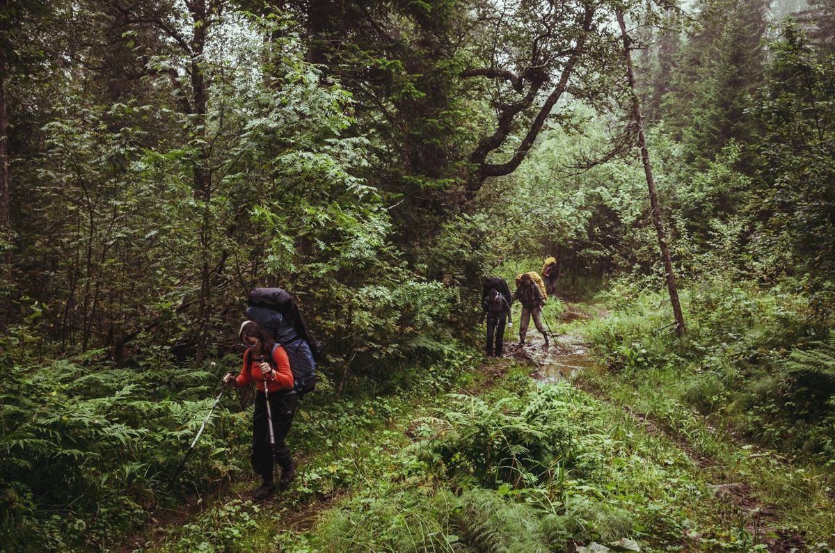 ilustrasi pendaki gunung (unsplash.com/Daniil Silantev)