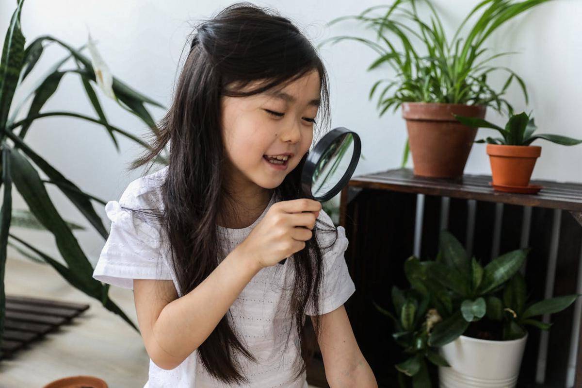ilustrasi menggunakan kaca pembesar (pexels.com/Monstera Production)