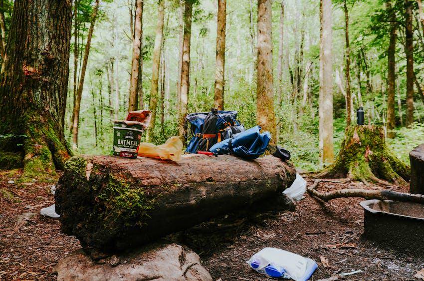 ilustrasi peralatan camping (pexels.com/Tyler Williams)
