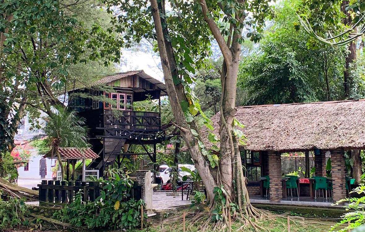 Cuplikan suasana asri di kafe Roemah Kayu/Instagram @caferoemahkayu