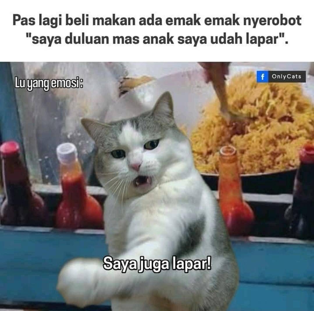 Meme marah-marah