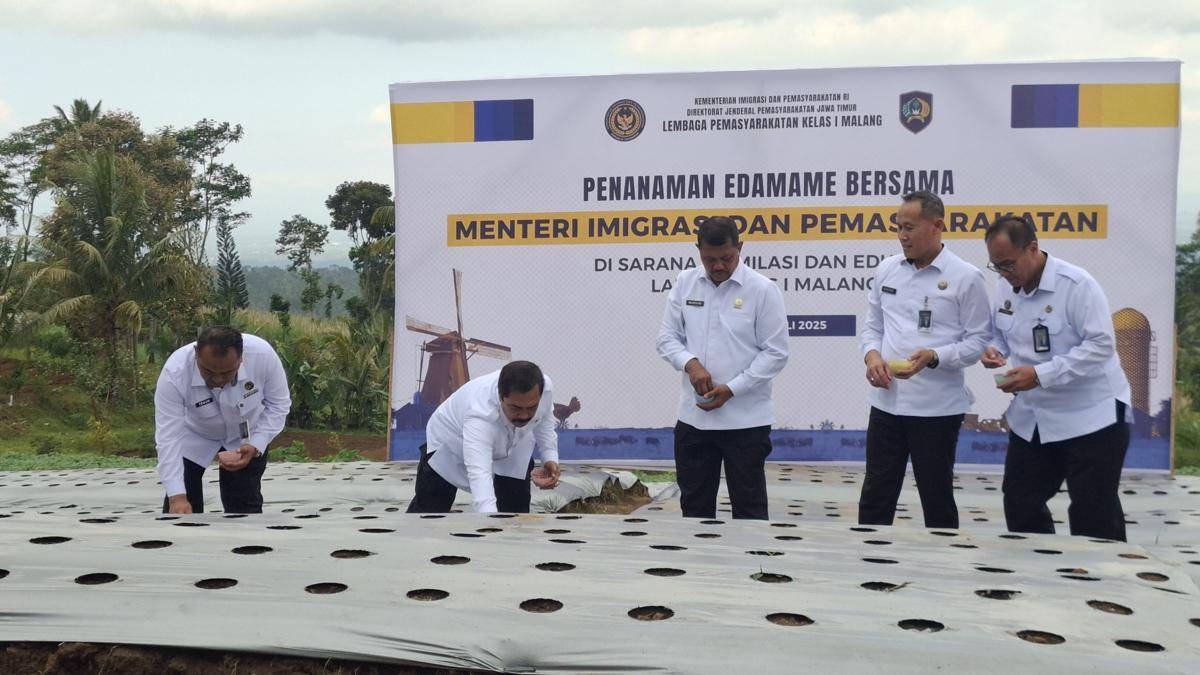 Menteri Imigrasi dan Permasyarakatan (Imipas) Republik Indonesia (RI), Agus Andrianto saat menanam bibit kedelai adamame di SAE L'Sima Malang. (IDN Times/Rizal Adhi Pratama)