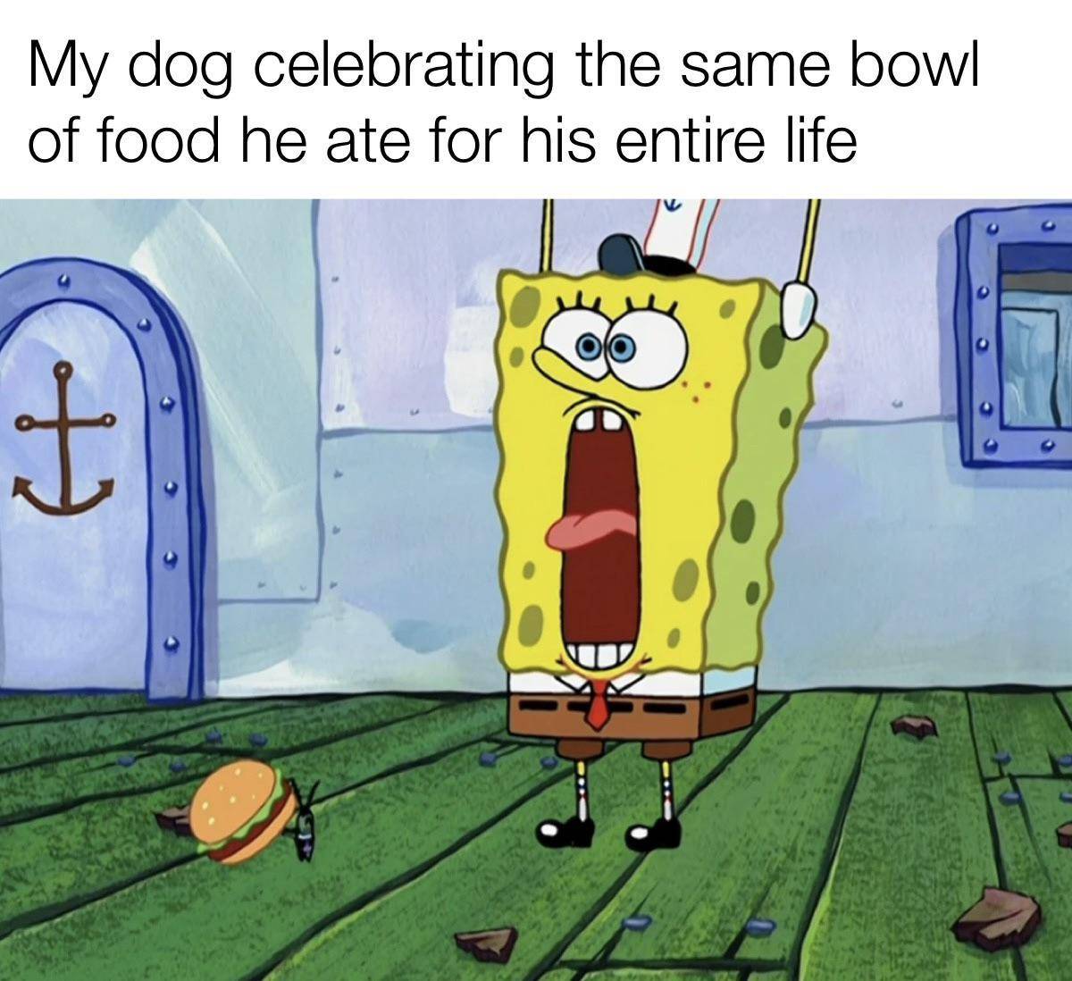 meme SpongeBob tentang anjing peliharaan (reddit.com/user/MrToaast)