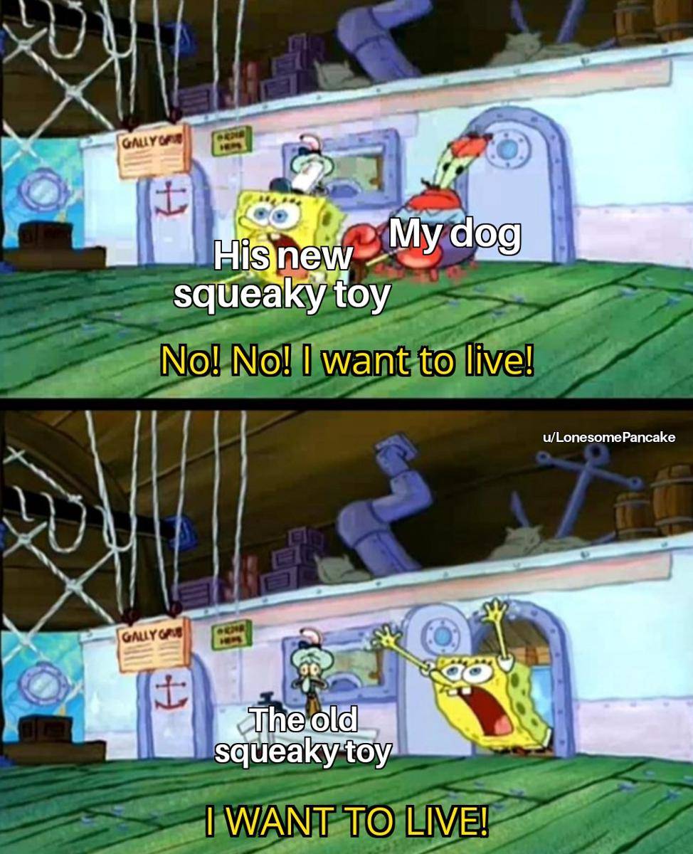 meme SpongeBob tentang anjing peliharaan (reddit.com/user/LonesomePancake)