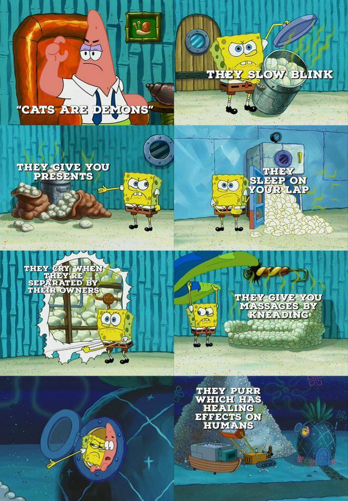 meme SpongeBob tentang kucing (reddit.com/user/SophieByers)
