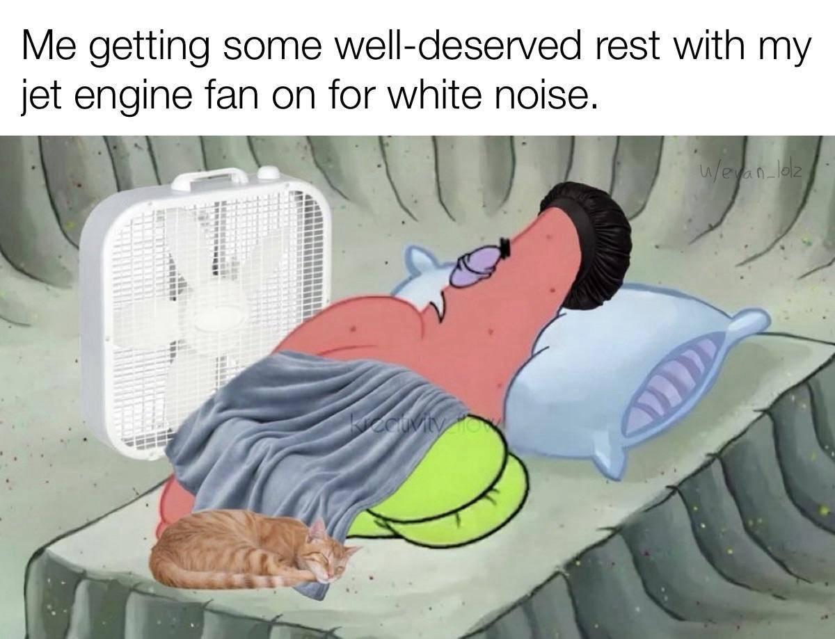 meme SpongeBob tentang kucing (reddit.com/user/evan_lolz)