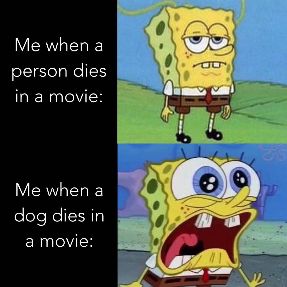 meme SpongeBob tentang anjing peliharaan (reddit.com/user/Flying-Mollusk)