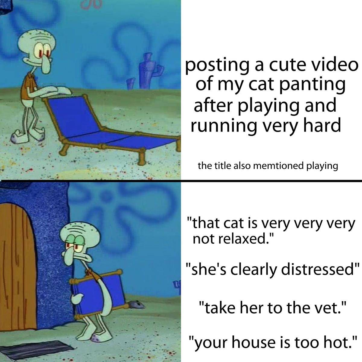 meme SpongeBob tentang kucing (reddit.com/user/he_is_not_a_shrimp)