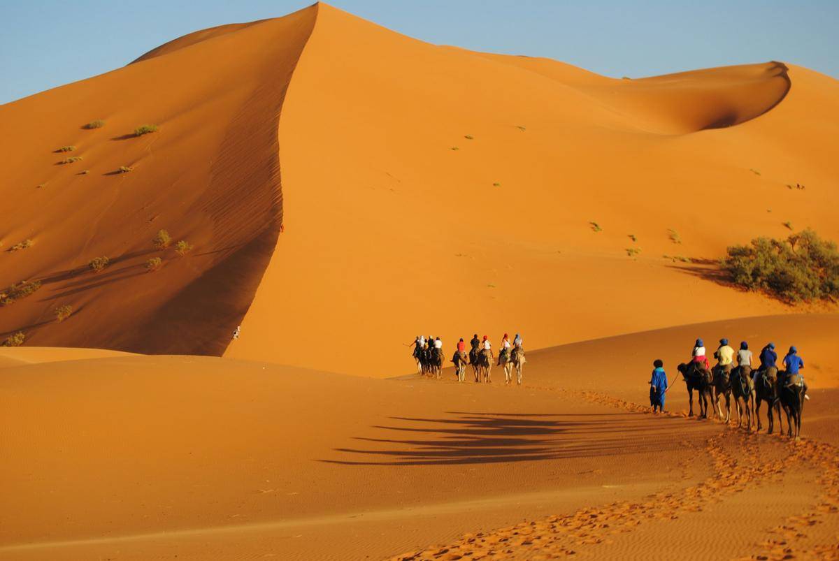Gurun Sahara (unsplash.com/Graphe Tween)