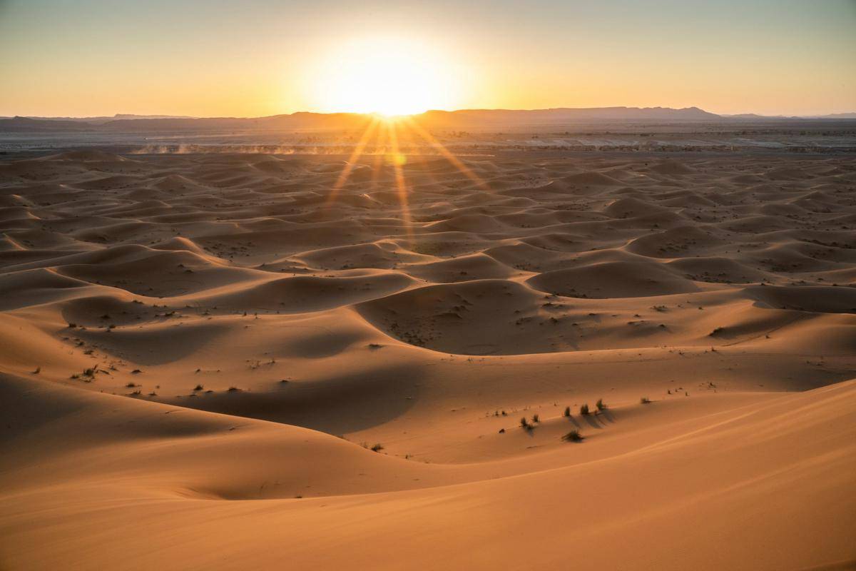 Gurun Sahara (unsplash.com/Paweł Wielądek)