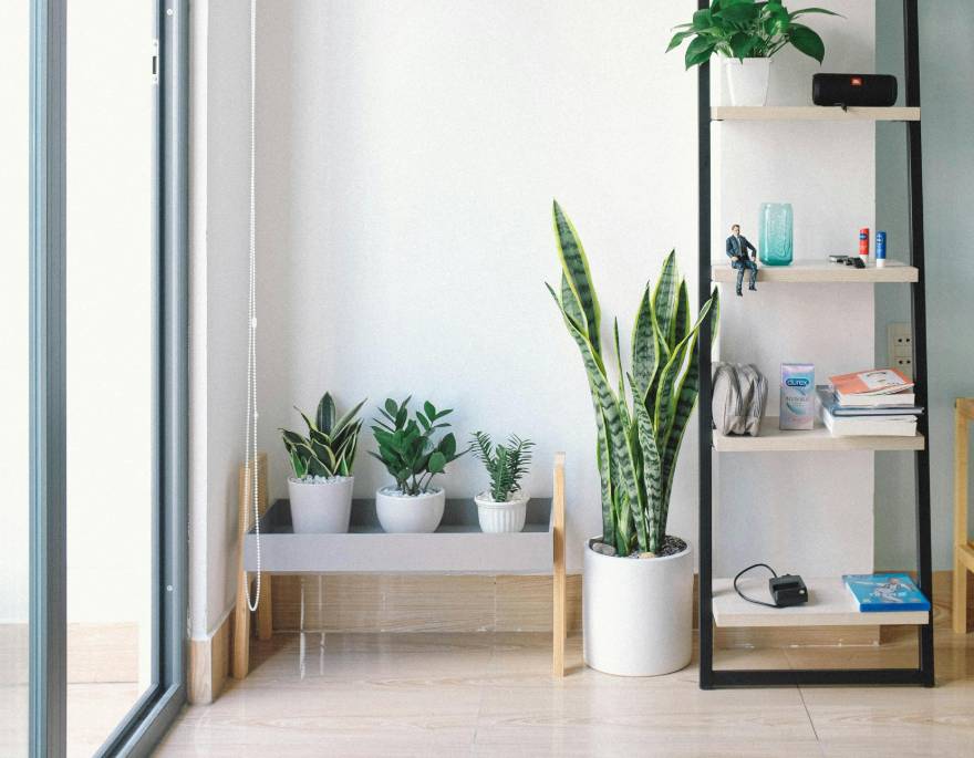 illustrasi ruangan dalam rumah (pexels.com/Huy Phan)