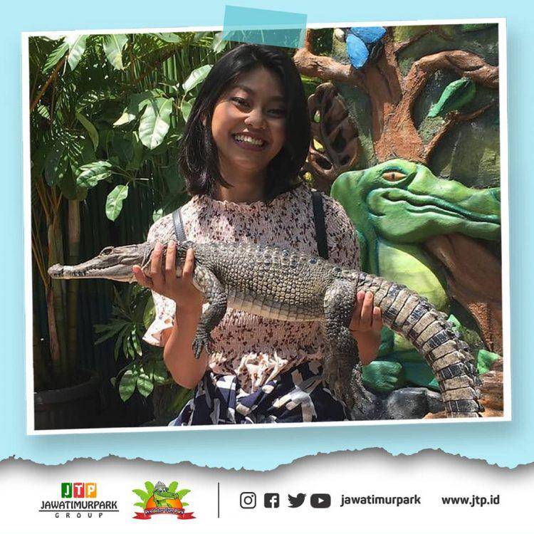 Predator Fun Park, Batu Malang