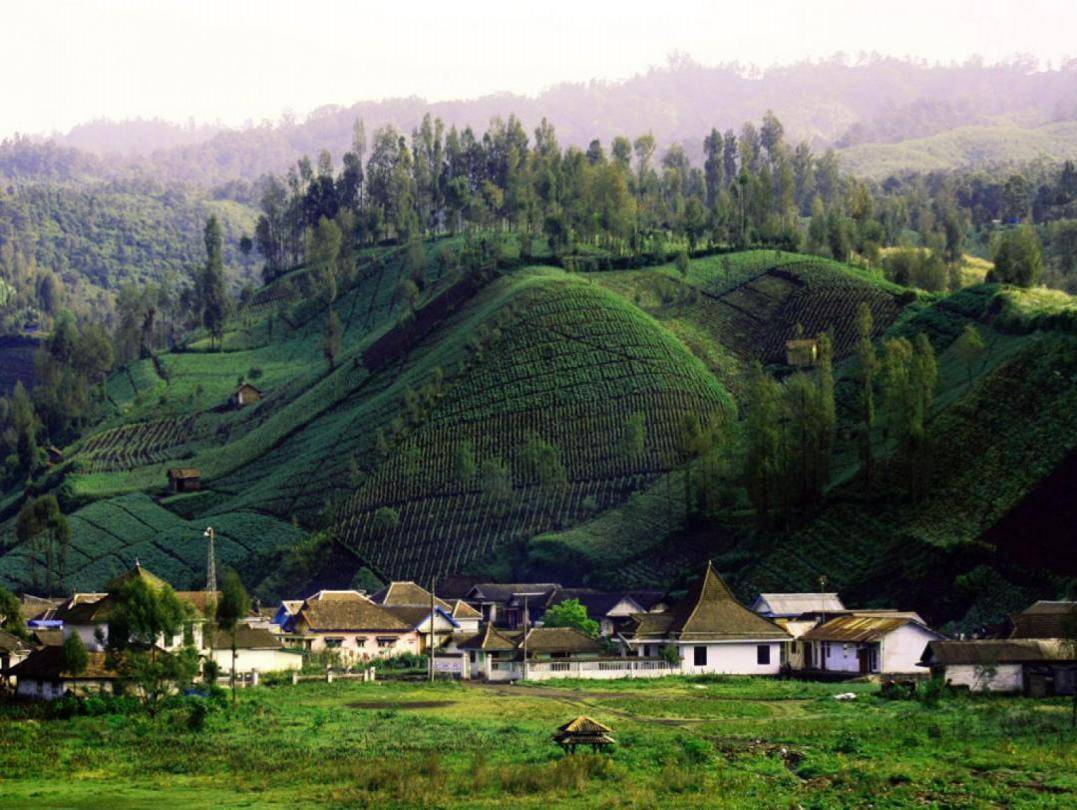 Desa Wisata Ranupani
