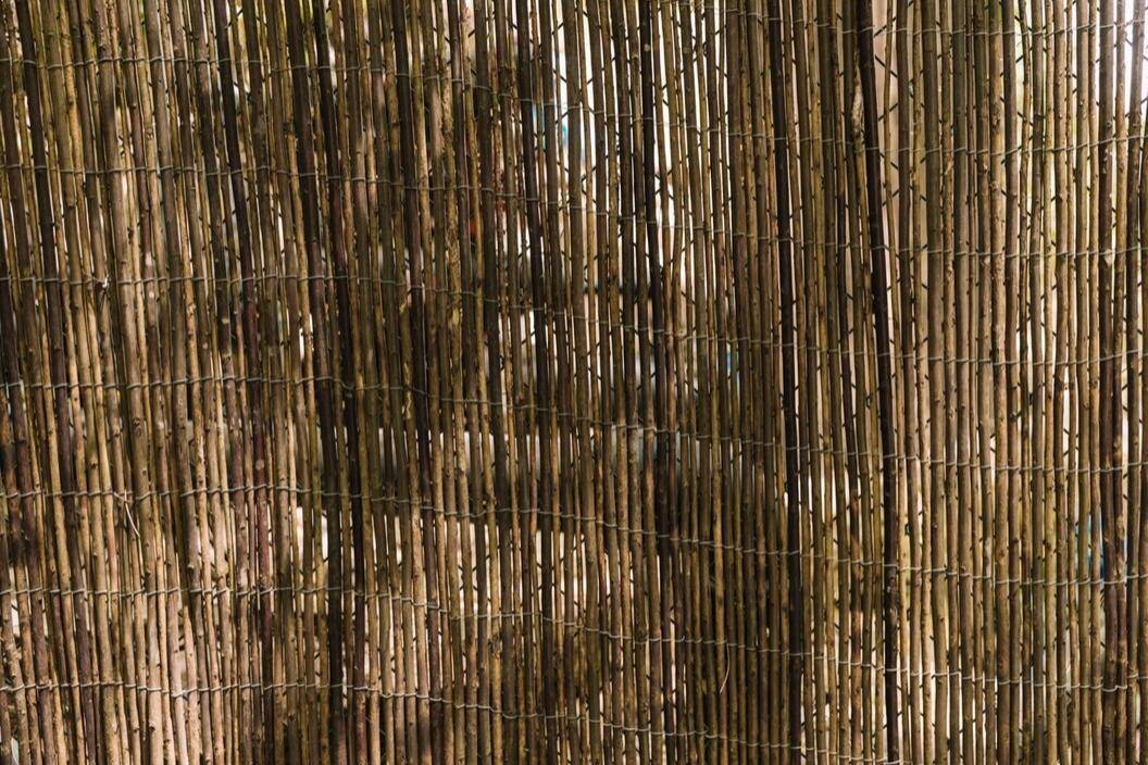 Tirai Bambu (freepik.com/freepik) 