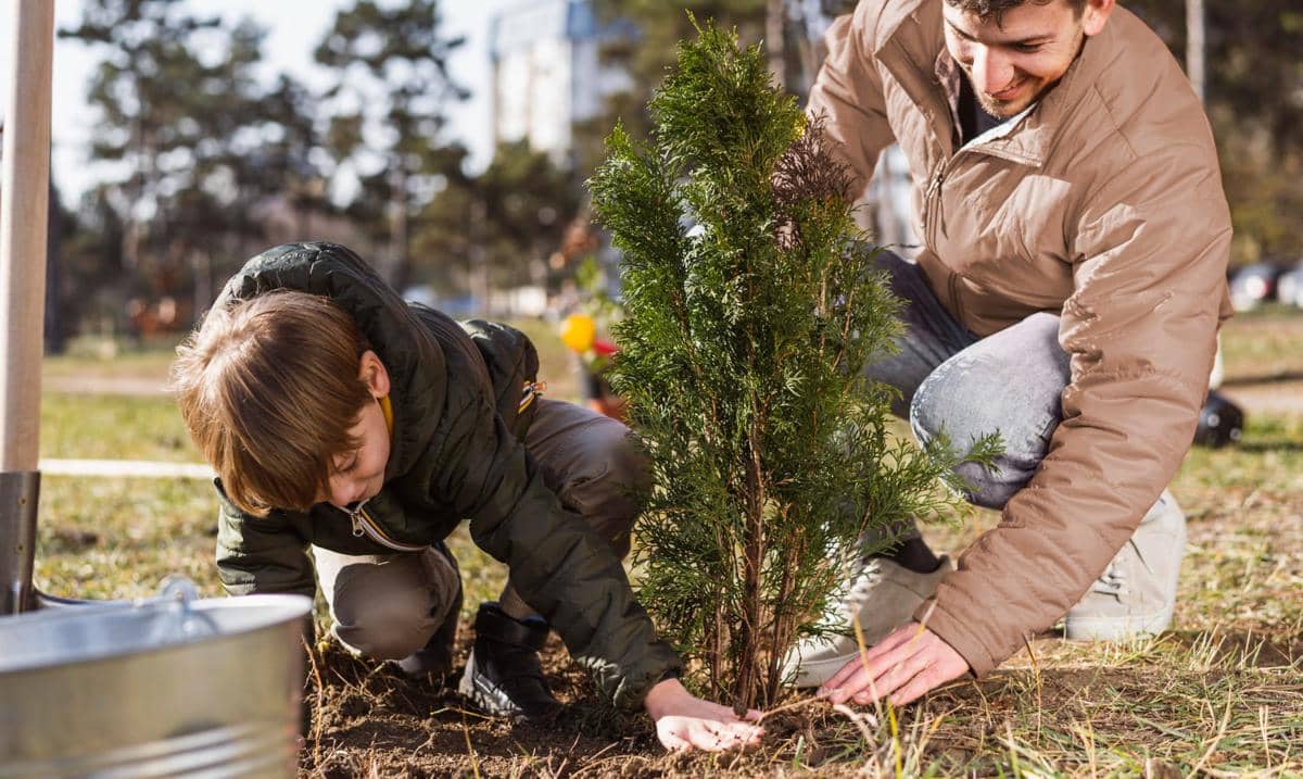 ilustrasi menanam pohon