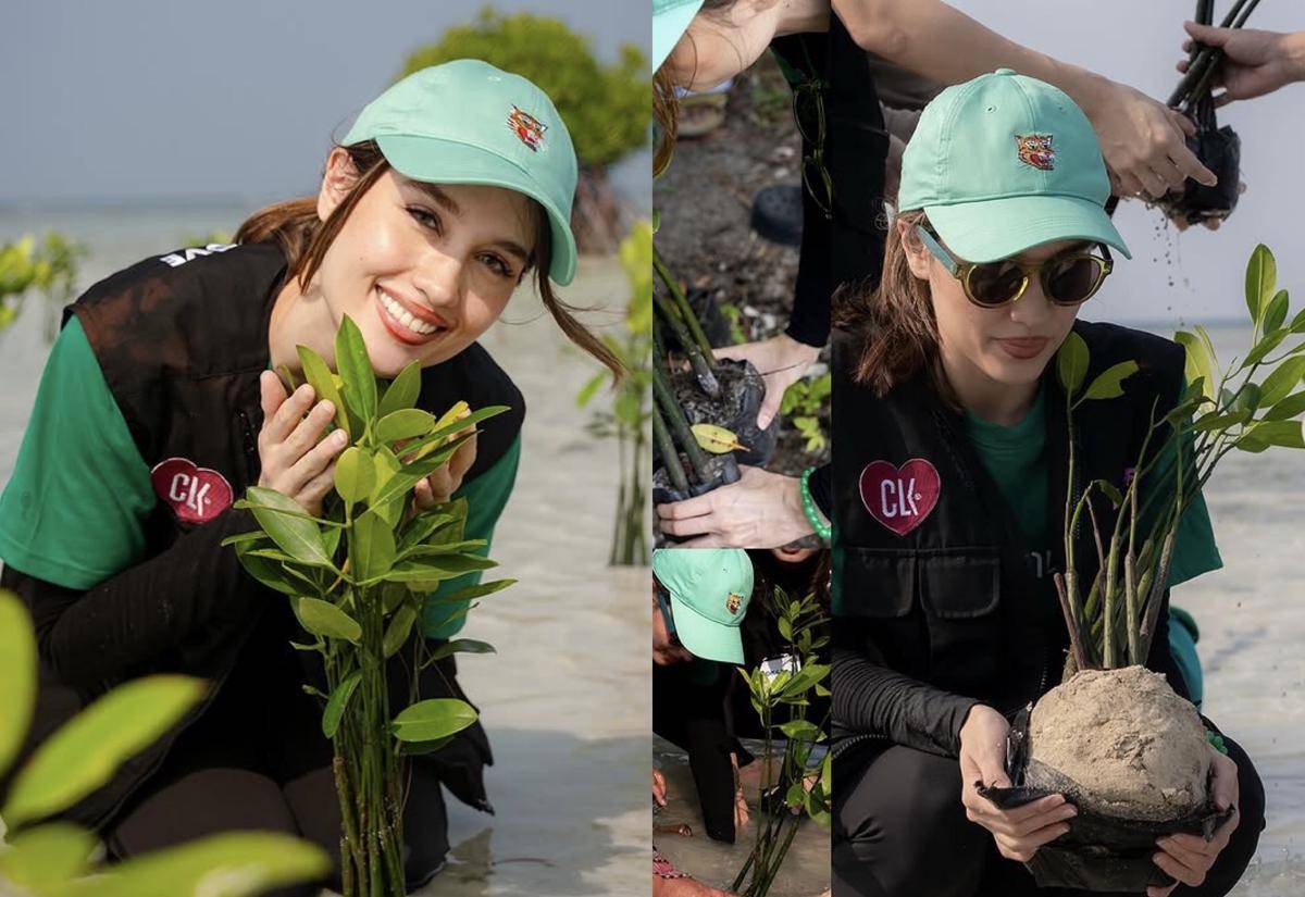 potret Cinta Laura tanam mangrove di Pulau Pari (Instagram.com/claurakiehl)