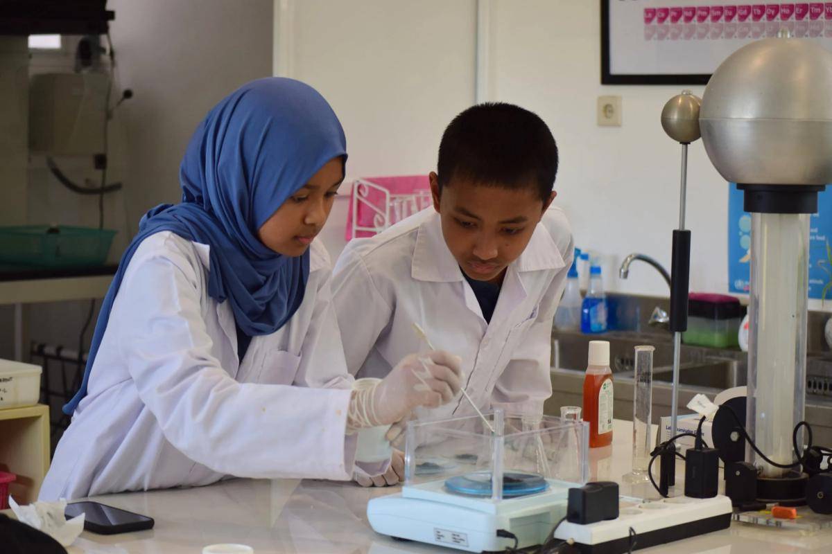 program IB MYP (edu.org)