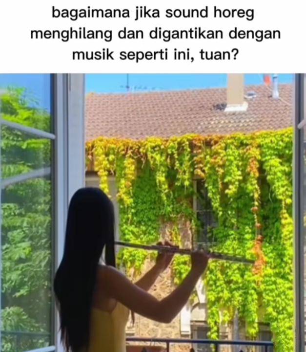meme sound horeg (instagram.com/pulaumeme.id)