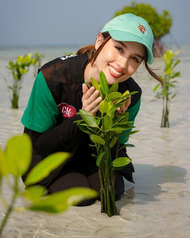 potret Cinta Laura tanam mangrove di Pulau Pari (Instagram.com/claurakiehl)