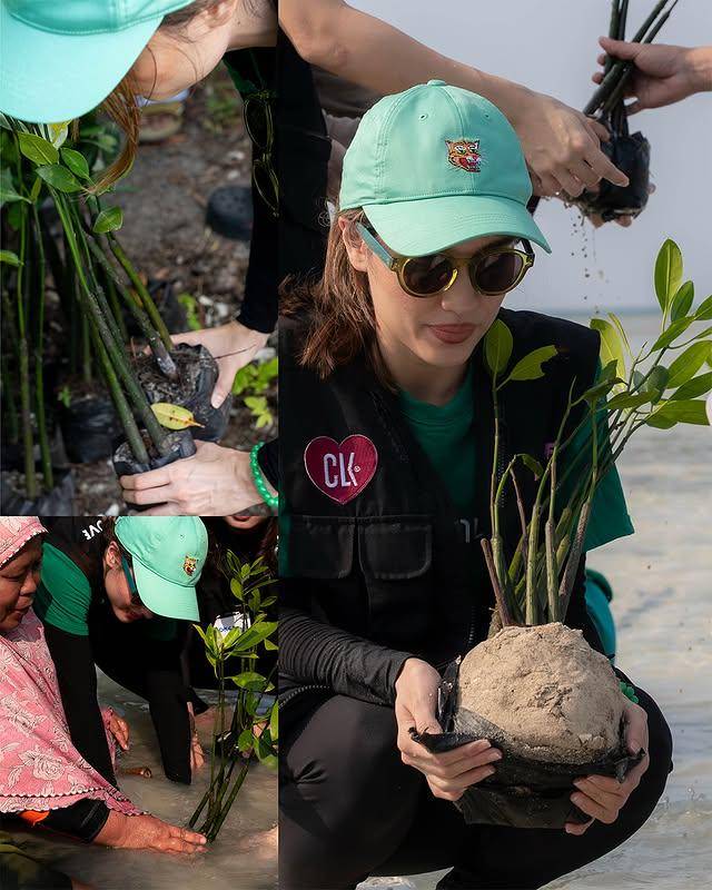 potret Cinta Laura tanam mangrove di Pulau Pari (Instagram.com/claurakiehl)