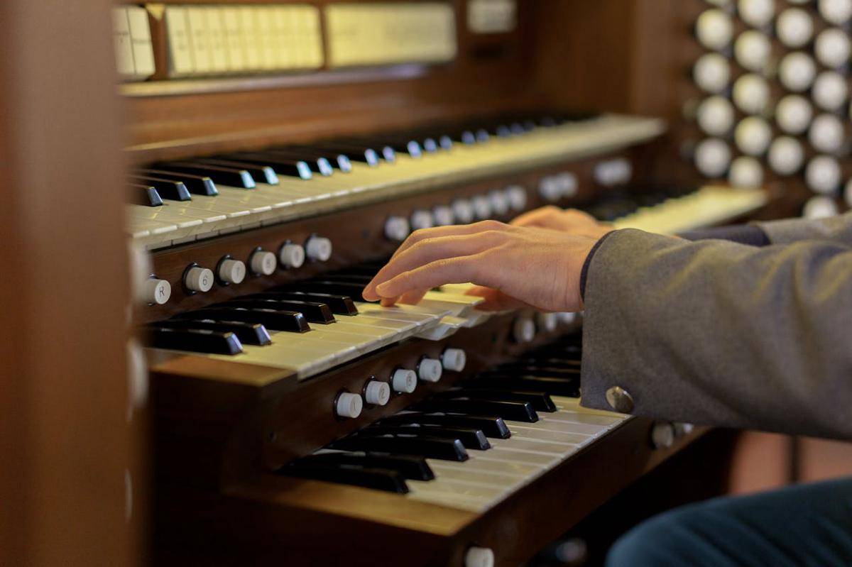 ilustrasi organ (pexels.com/cottonbro studio)