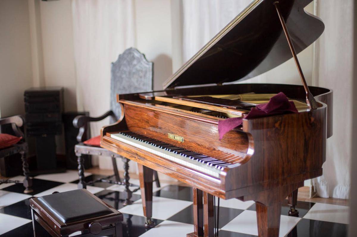 ilustrasi piano (pexels.com/Dalila Dalprat)