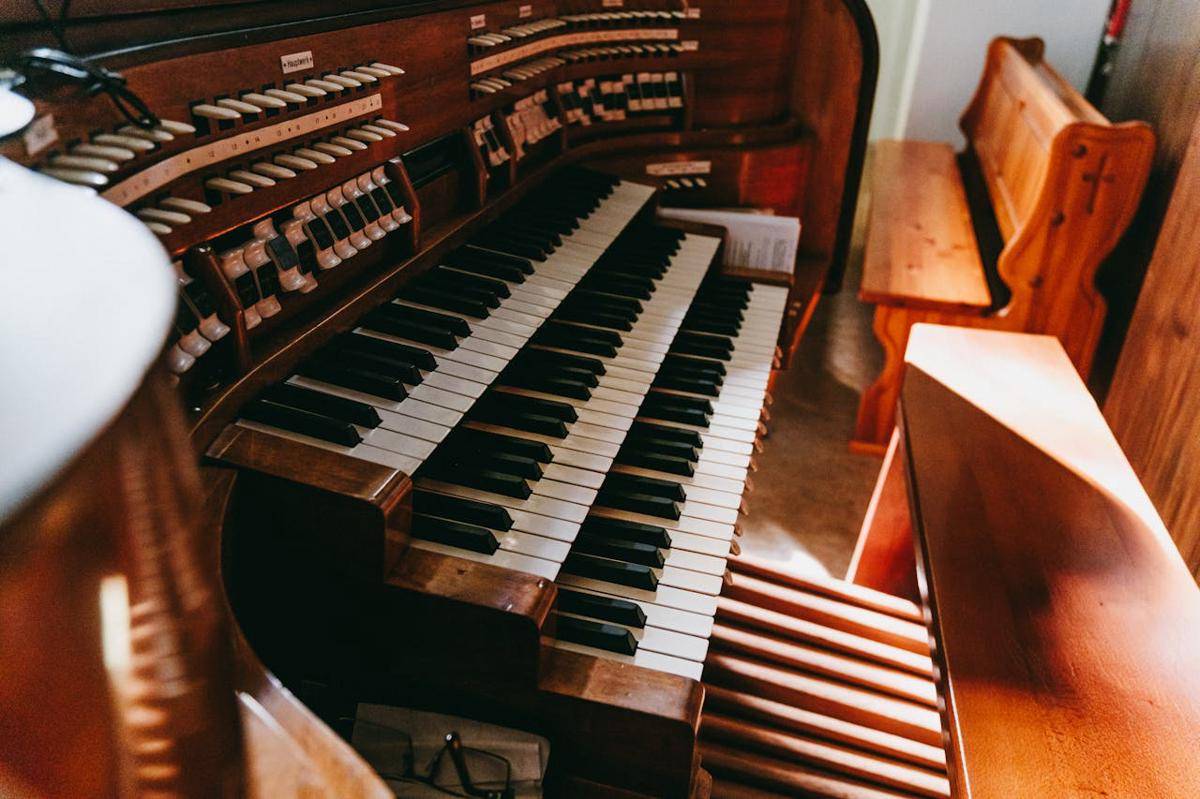 ilustrasi organ (pexels.com/Daniel Żabiński)