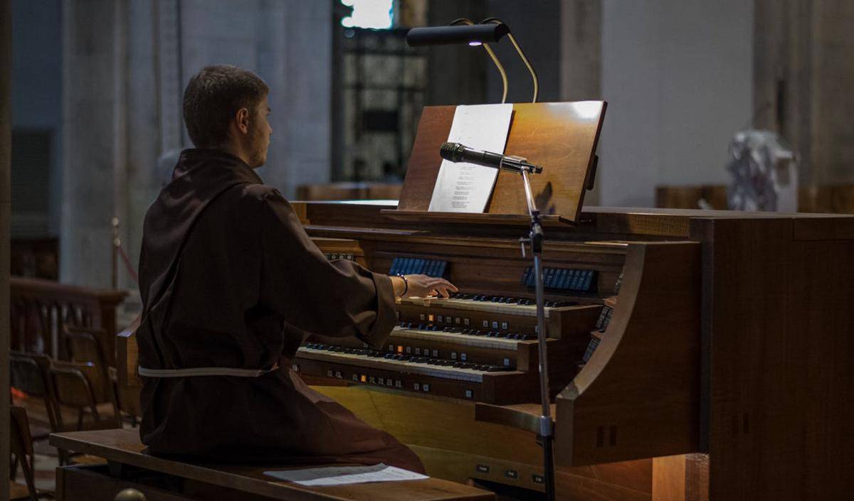 ilustrasi organ (pexels.com/Hans Lindgren)
