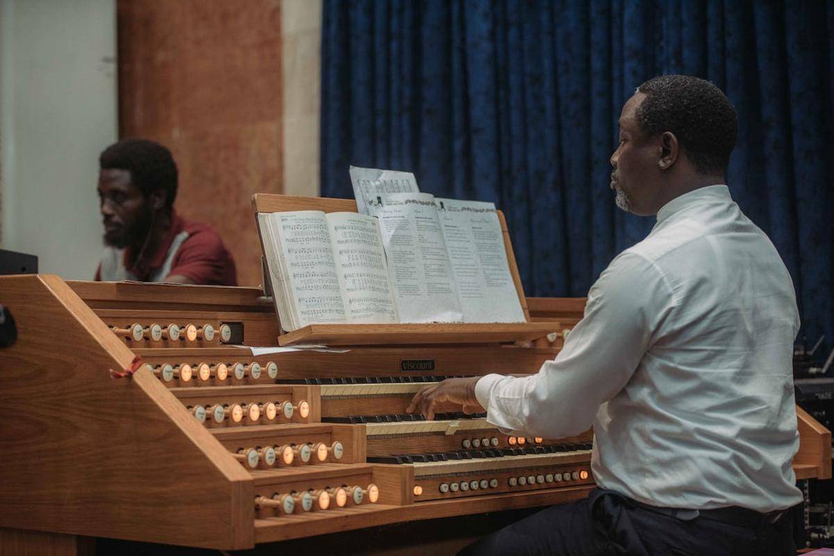ilustrasi organ (pexels.com/Tosin Superson)