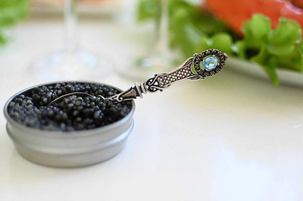 Ilustrasi caviar (pixabay.com/irenna_)