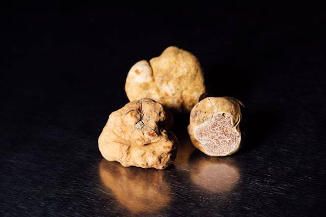 Potret alba white truffles (unsplash.com/chuttersnap)