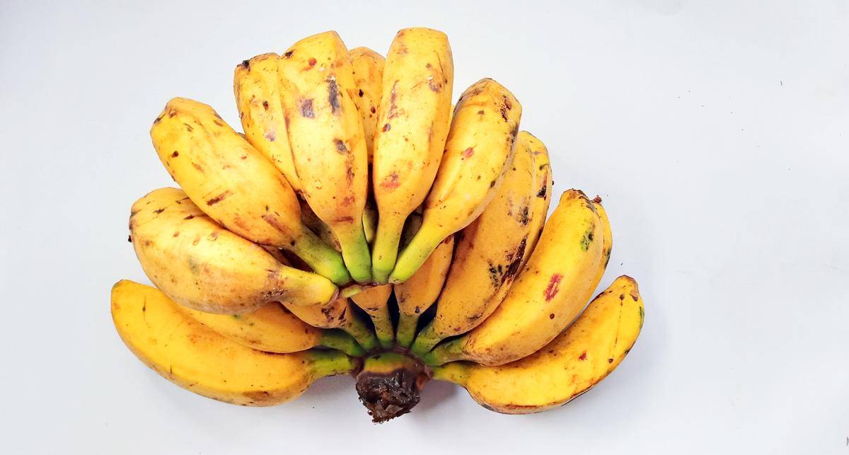 ilustrasi pisang raja yang sudah matang (vecteezy.com/Fitriani .)