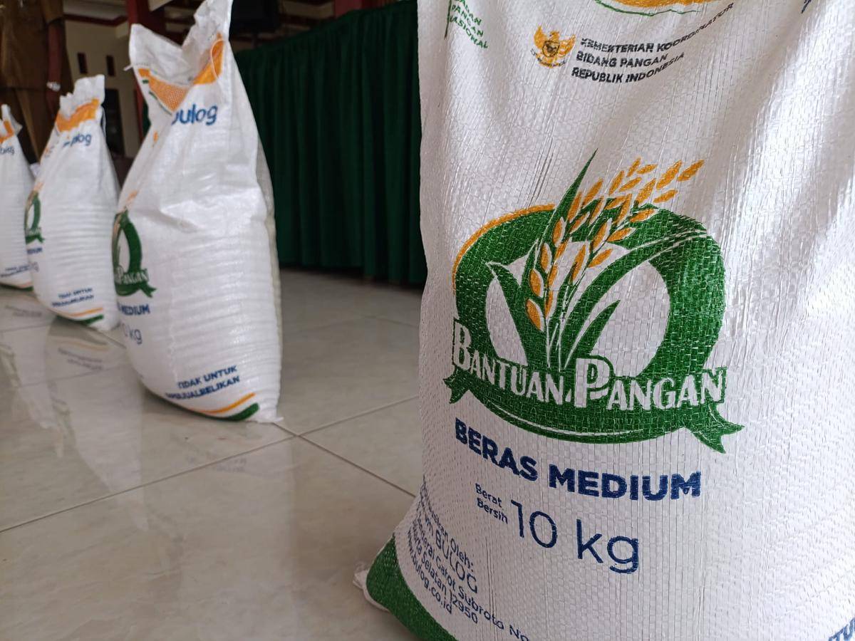 Beras bantuan pangan program pemerintah. IDN Times/ Bramanta Pamungkas