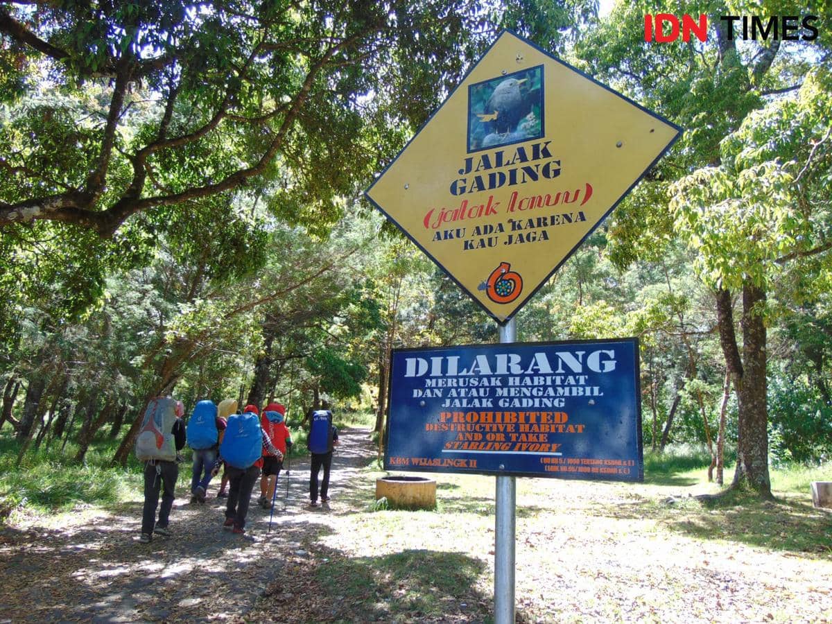 Jalur pendakian gunung Lawu via Cemorosewu di Magetan. IDN Times/Riyanto.