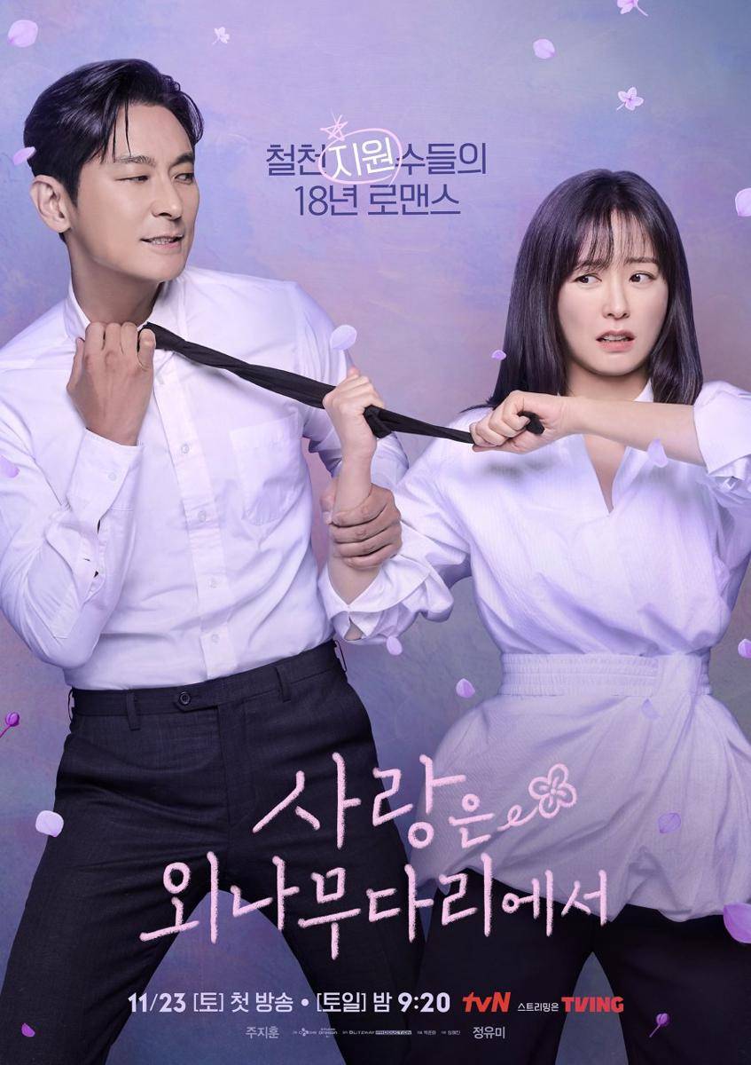 Poster Love Your Enemy (dok.tvN/Love Your Enemy)