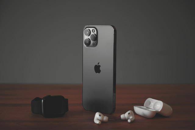 ilustrasi iPhone varian Pro Max (unsplash.com/Dennis Brendel) 
