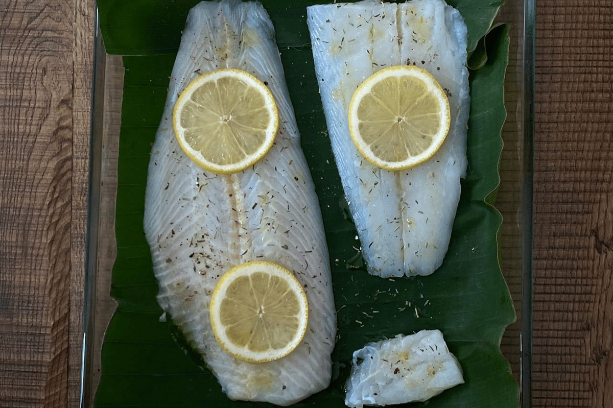 ilustrasi ikan putih