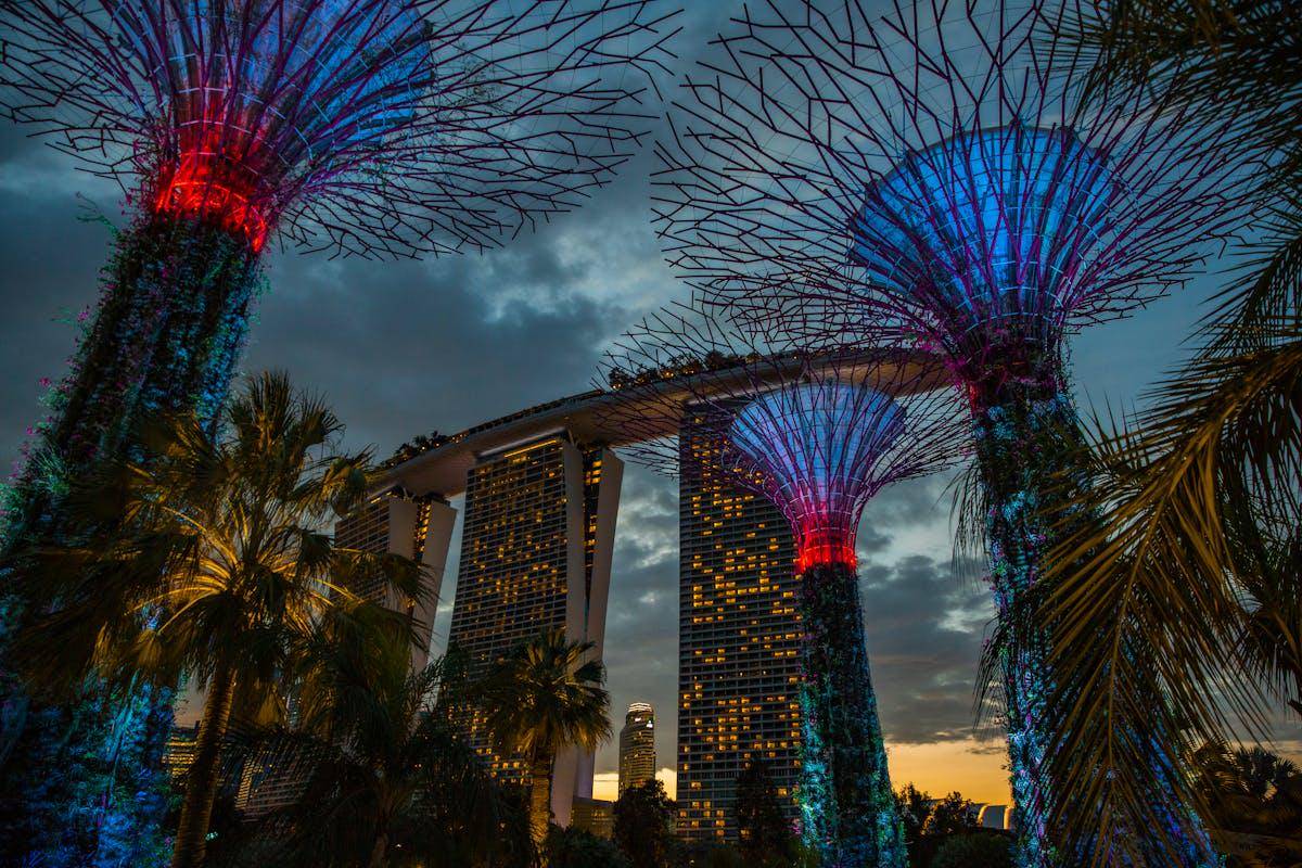 ilustrasi Gardens by the Bay (pexels.com/STEVE CHAI)