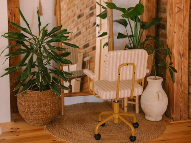 ilustrasi tanaman indoor (unsplash.com/tanaman fiddle leaf fig)