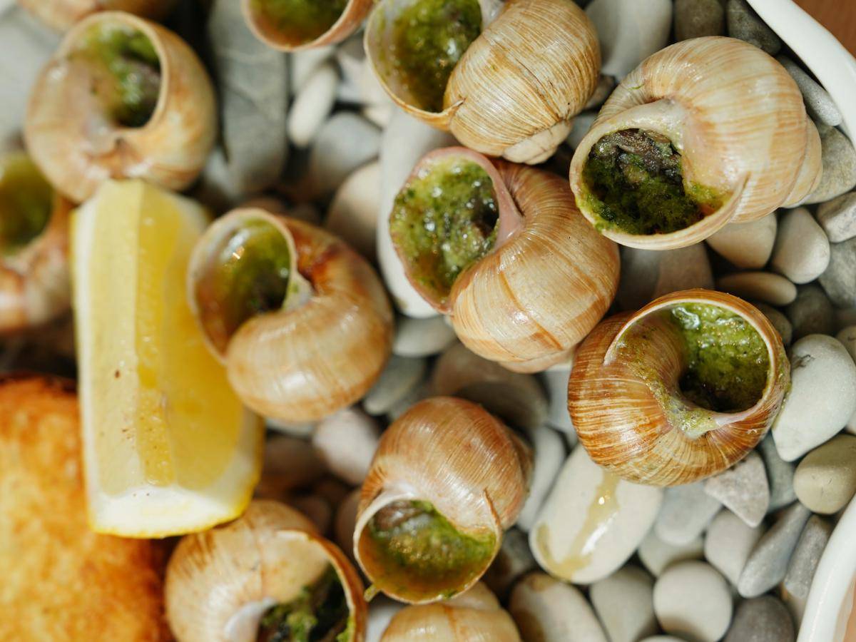 ilustrasi escargot (pexels.com/Nadin Sh)