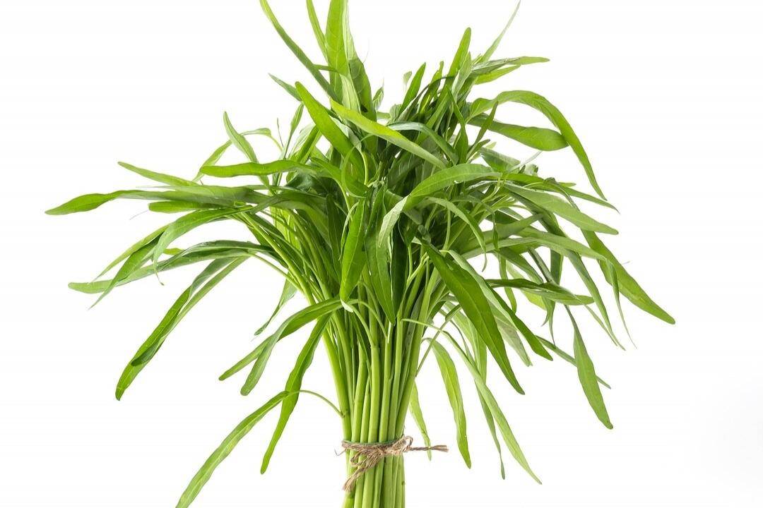 Kangkung (freepik.com/topntp26)