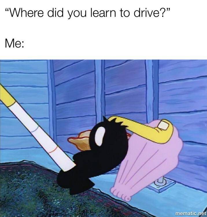 meme SpongeBob tentang mengemudi (reddit.com/user/sirfonz)