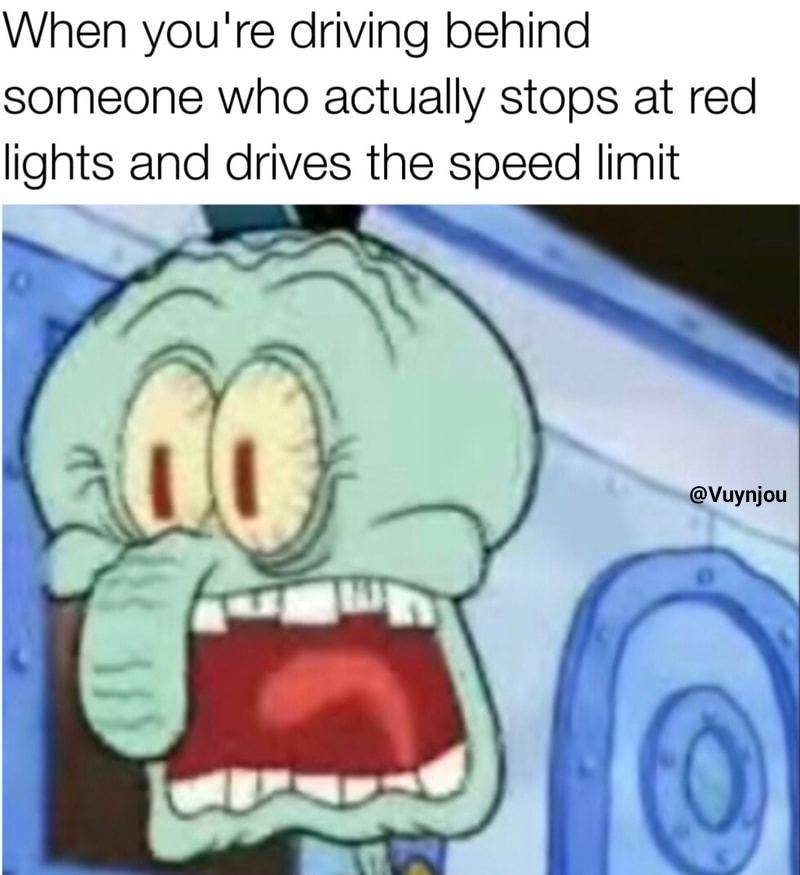 meme SpongeBob tentang mengemudi (reddit.com/user/Vuynjou)