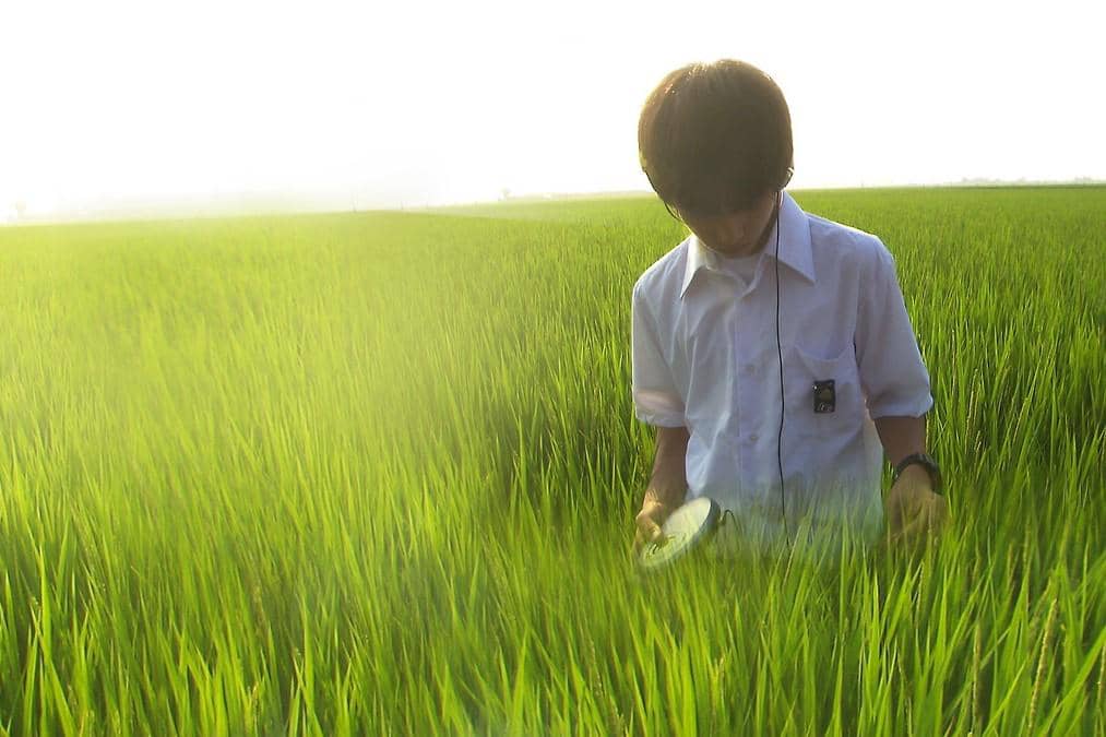 All About Lily Chou Chou (dok. Film Movement/All About Lily Chou Chou)