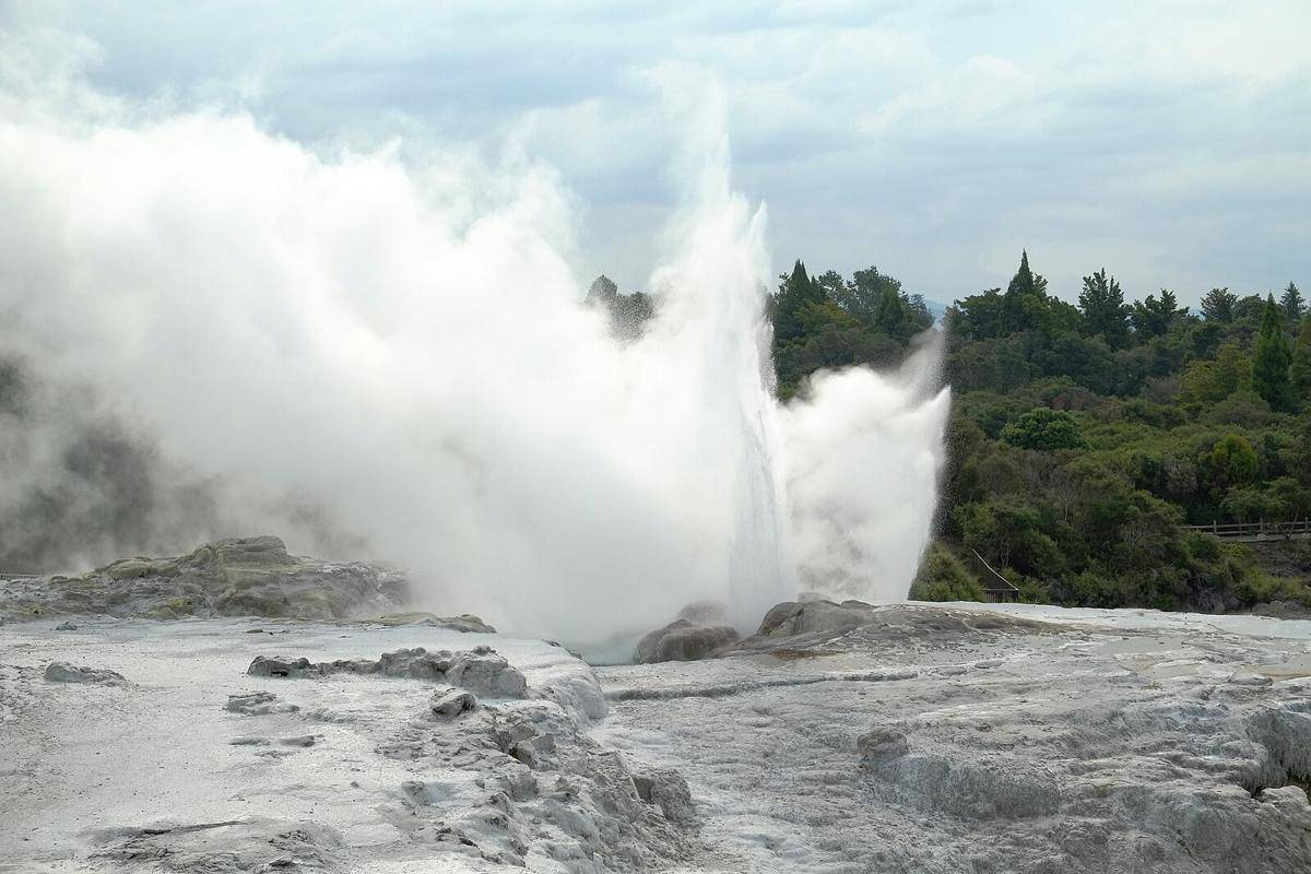 Potret Pohutu Geyser (commons.wikimedia.org/Pseudopanax)