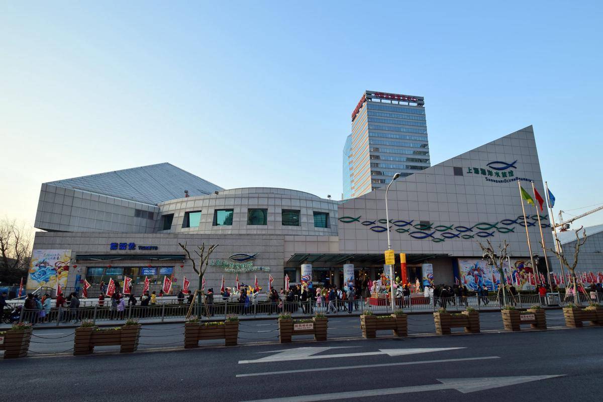 Shanghai Ocean Aquarium (commons.wikimedia.org/Baycrest)