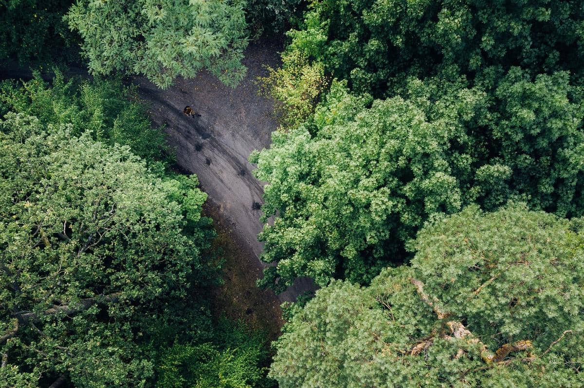 ilustrasi hasil rekaman dari drone