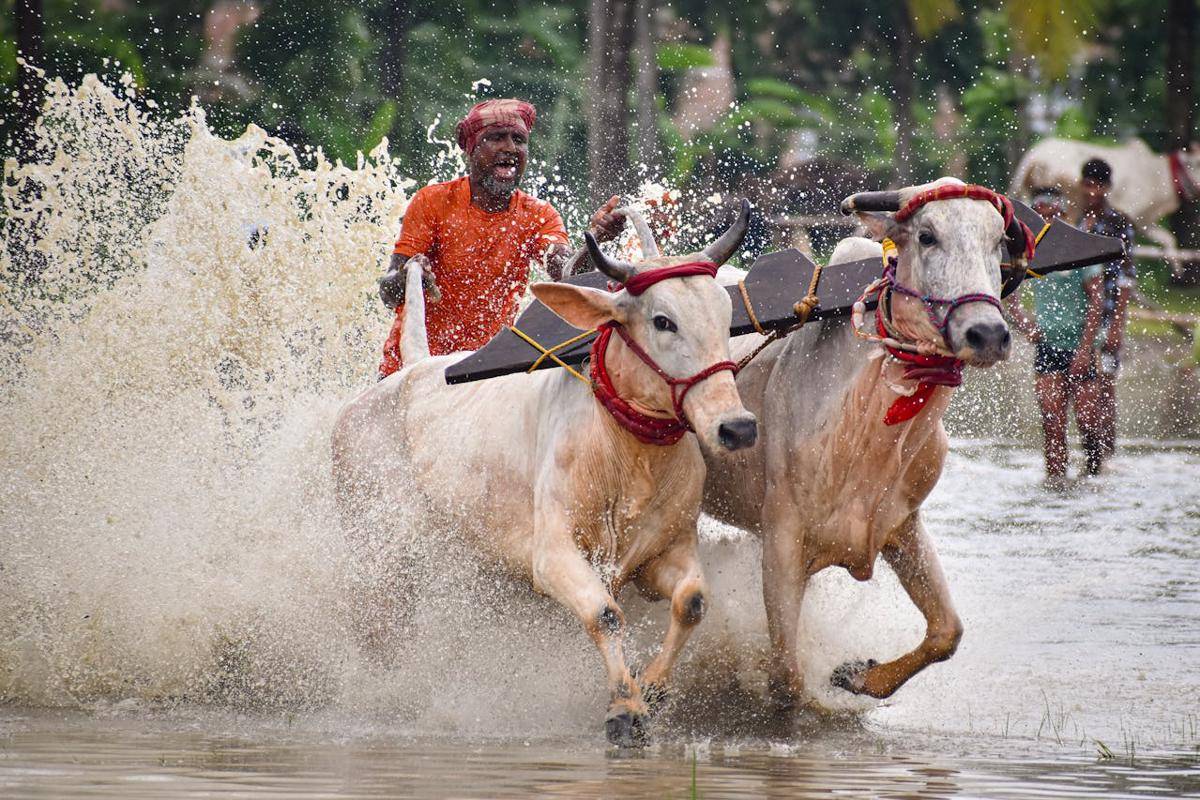 ilustrasi permainan tradisional (pexels.com/Aniruddha Debnath)