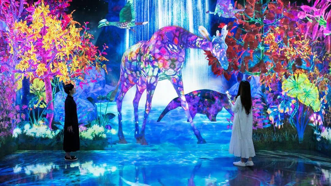 Epson teamLab Borderless Shanghai (instagram.com/teamlab)